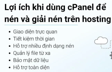 website, cPanel, file 